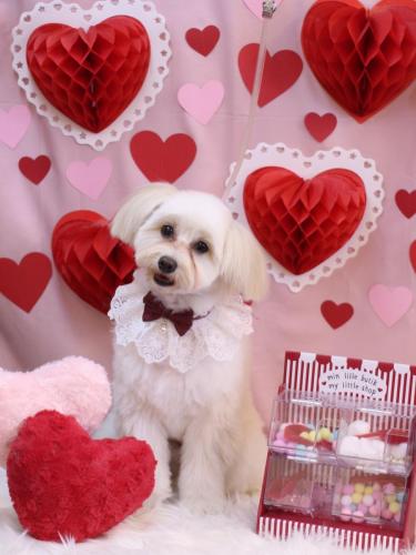 20240216風太郎くん